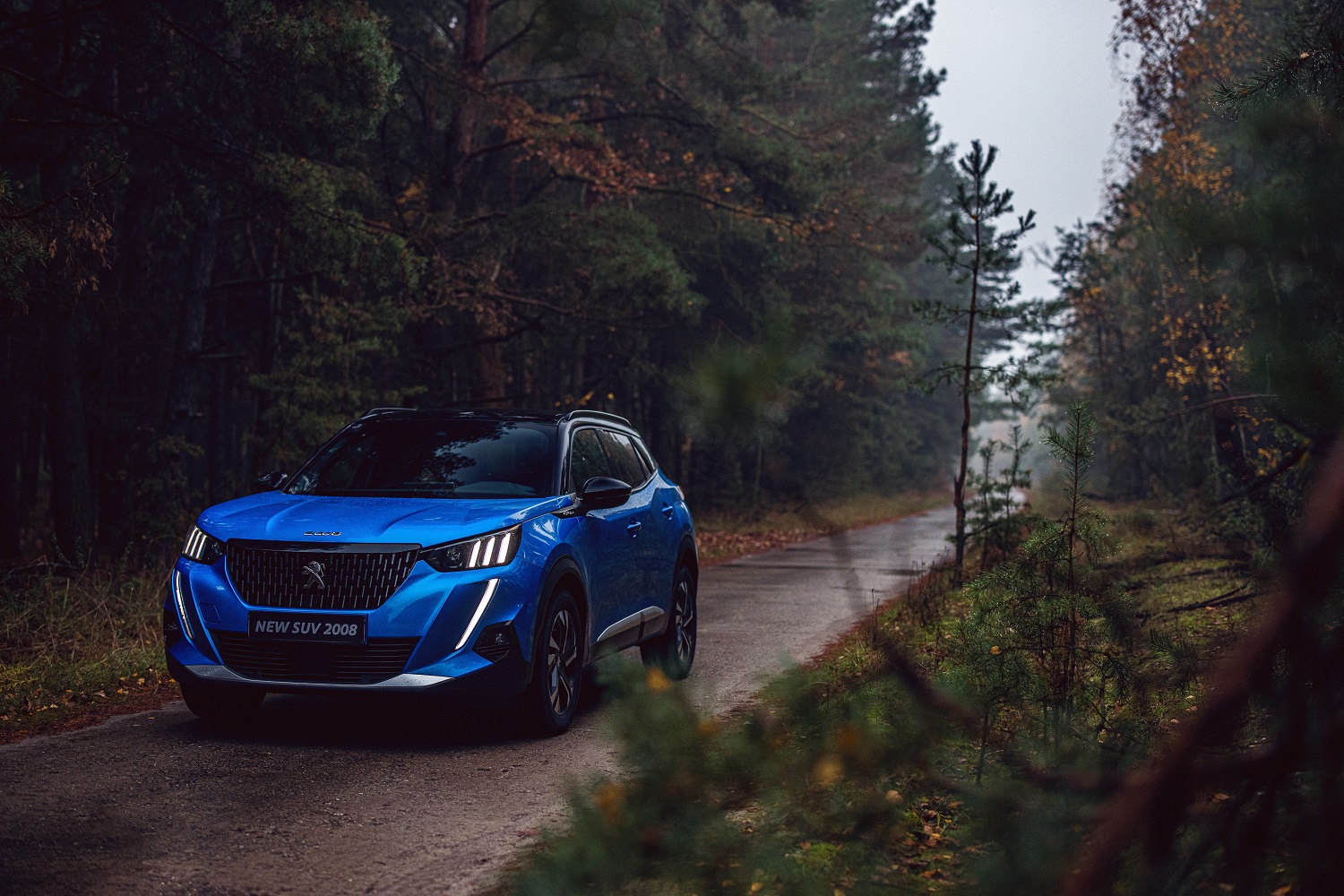 Результати продажів PEUGEOT в грудні: зміцнення позицій і значне зростання