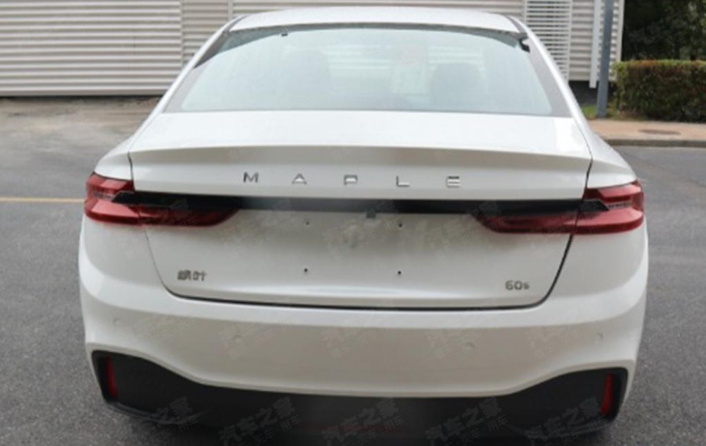 Leaf, але не Nissan. У електромобільної сім'ї концерну Geely поповнення