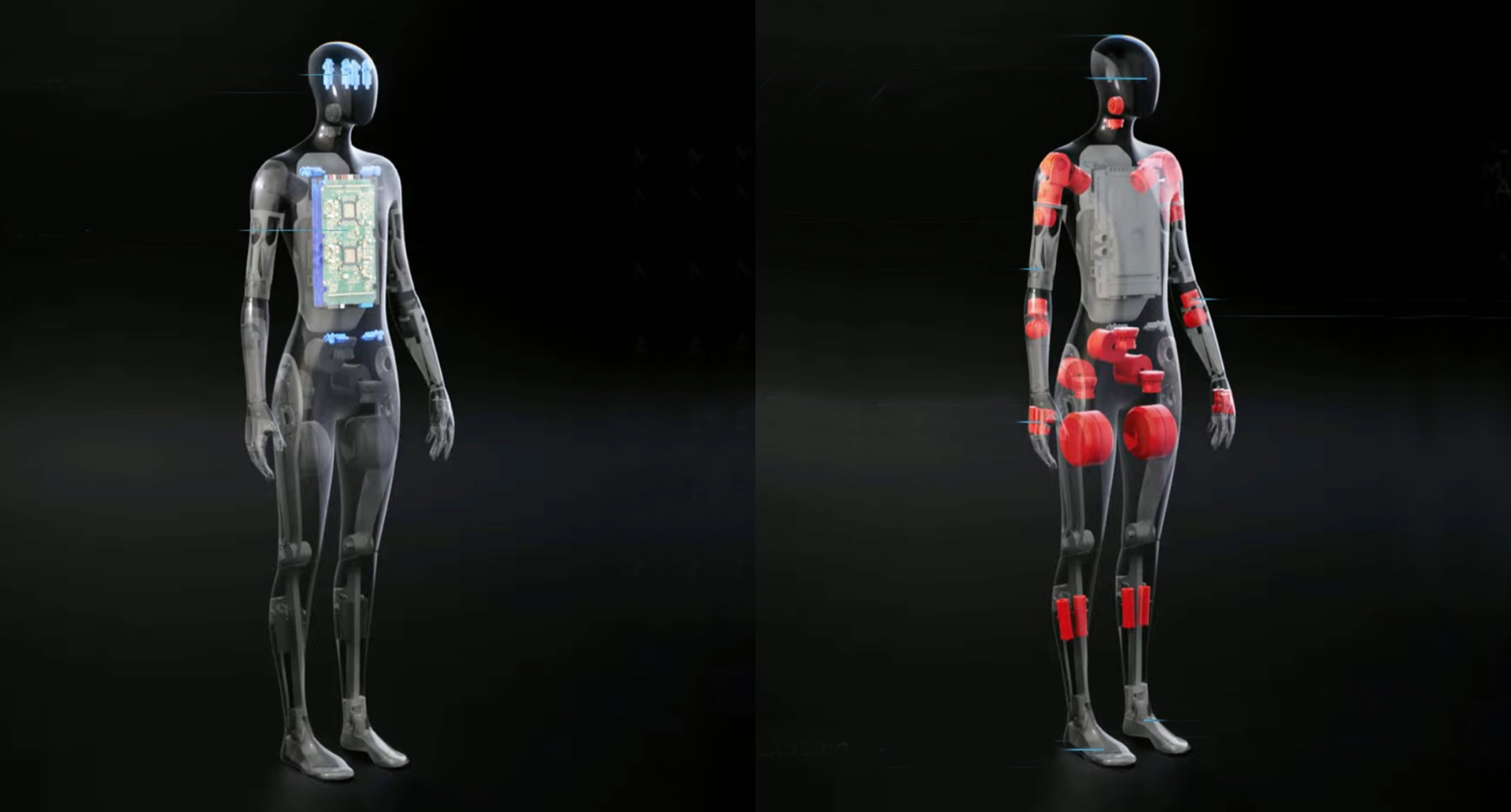 Гуманоїдний Tesla Bot розширить сферу компетенції компанії