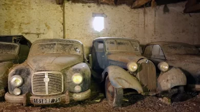 Відео: У старому сараї знайшли колекцію раритетних французьких автомобілів
